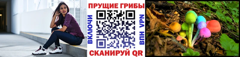 Купить где  Ужур  Псилоцибиновые грибы GOLDEN TEACHER 